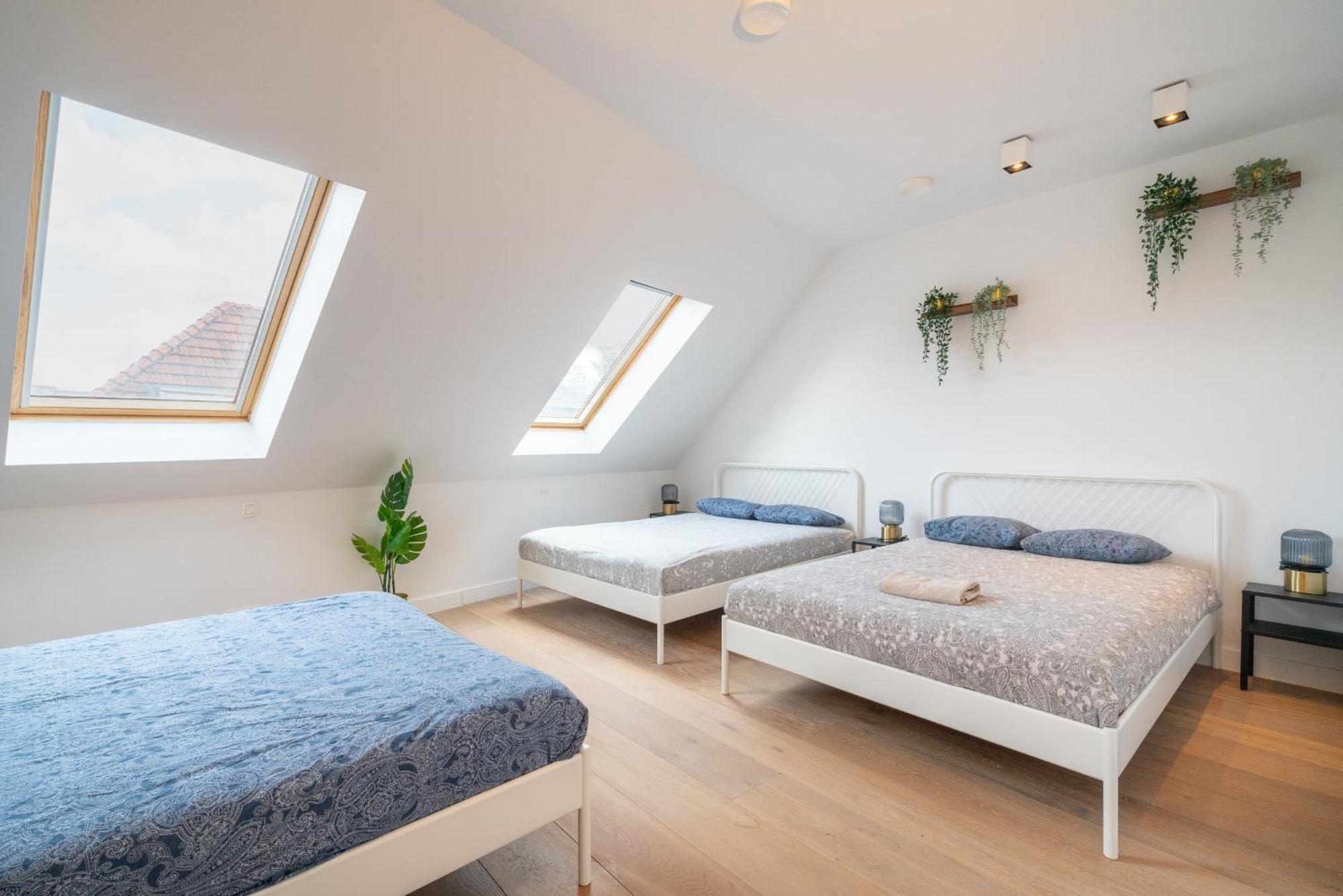 Light House Lodge. Apartment In Center Of Antwerp Exterior photo
